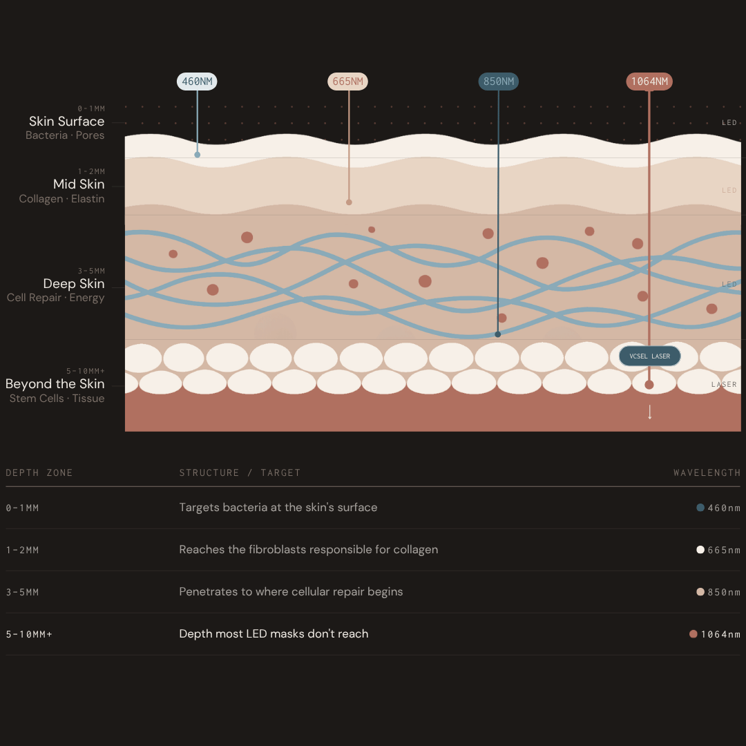 Diagram of skin layers with labeled depths and functions on a black background.