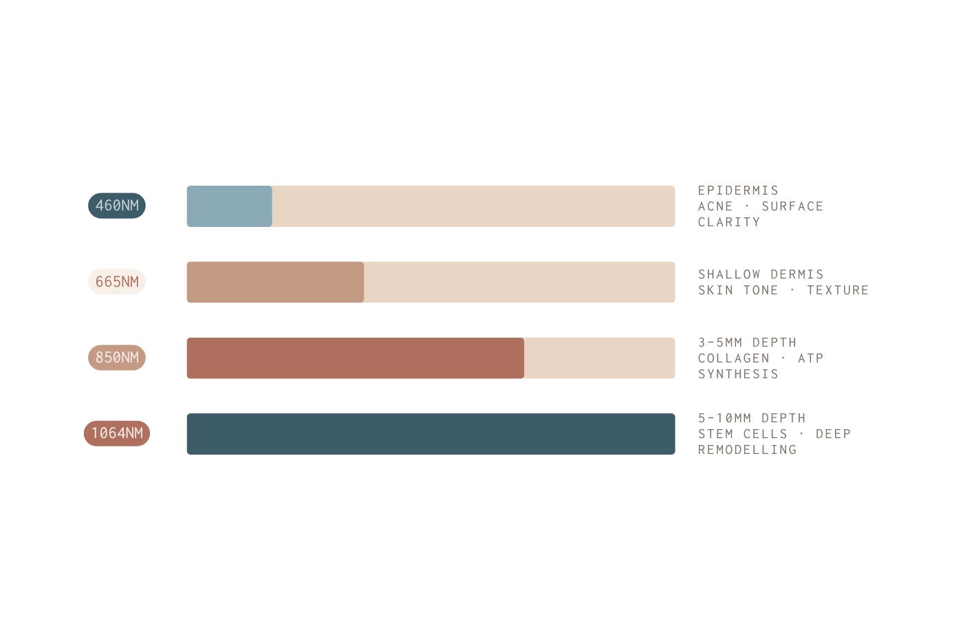 Bar chart comparing different layers of skin with color codes and labels on a white background
