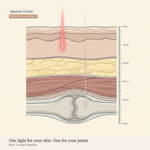 660nm and 850nm light depth cross-section