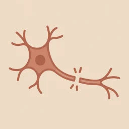 Nerve damage